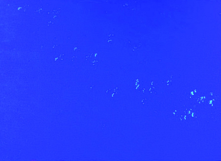 IMG_STV725_TESTING_LOW