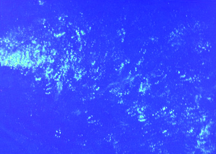 IMG_STV725_TESTING_HIGH