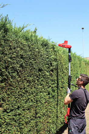 _energizer-20v-pole-hedge-cutter-ez20vthpc-uk_2_Hi