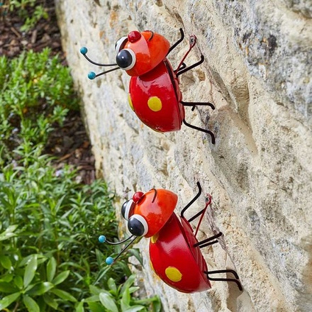 crazee ladybug