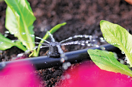 2787 EndLineAdjSprinkler