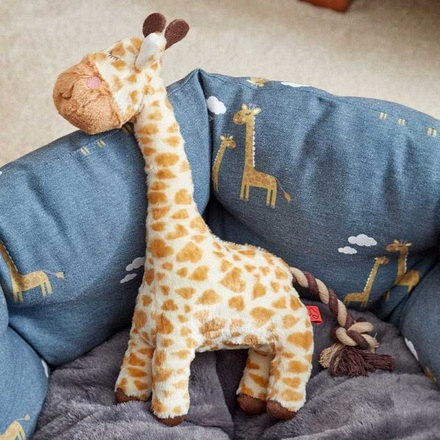 Junior Giraffe - Image