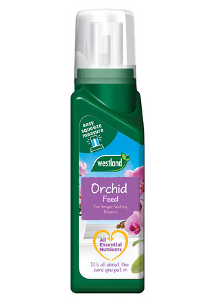 20100348 Westland Indoor Orchid Feed 200ml