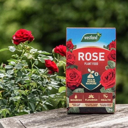 Rose Feed 3kg Westland - Image