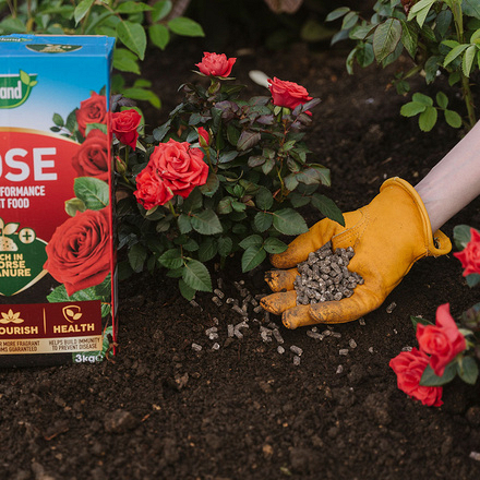 Westland Rose Enriched Horse Manure Plant Food 3kg 20100234 Lifestyle_2