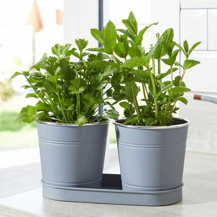 Herb Pots Slate 2 Pack - Image