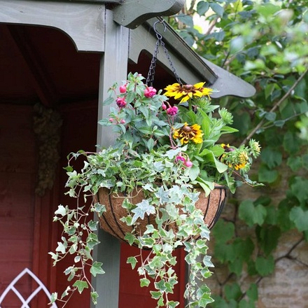 Hanging Basket with Coco Liner 12” - Image