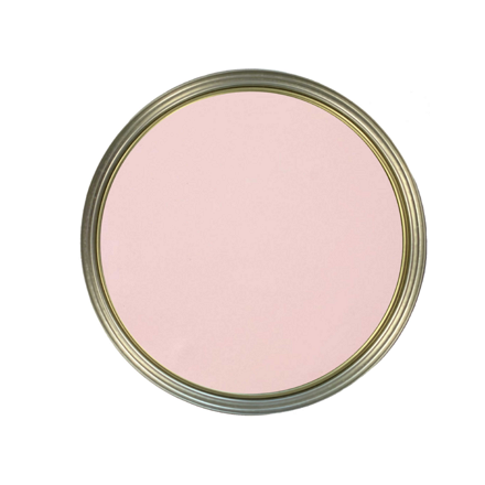 Cupcake above tin