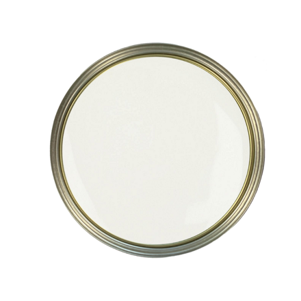 Seagull above tin