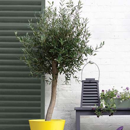 5091339 - Sandtex® 10 Year Exterior Satin - Fern Canopy - 750ml – S4