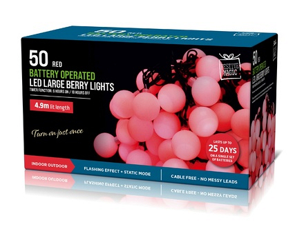 50 Large Berry Lights LED - Image