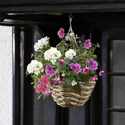 14inch Trinity Basket Hanging Basket - Image