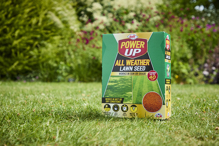 Power Up All Weather Lawn Seed F-GH-A00-DPU