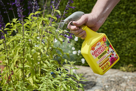 Greenfly & Blackfly Control F-CE-A00-DOF 3