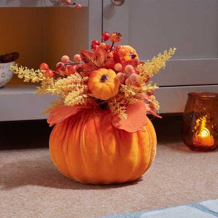 55627 Image 2