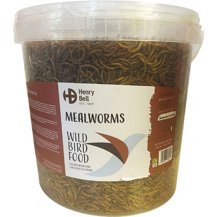 Henry Bell Mealworm Tub 1.5kg - Image