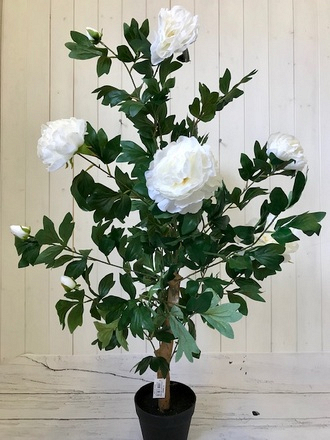 Florelle Artificial Cream Peony Tree, 100cm - Image