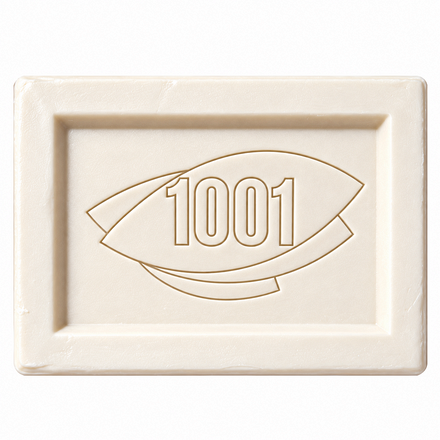 1001 Stain Remover Bar 100g, showing the unwrapped cream-coloured rectangular cleaning bar with the 1001 logo embossed on its surface.