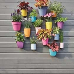 RONSEAL GARDEN PAINT
