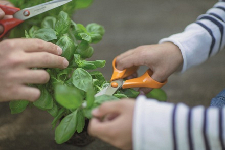 t43748_Fiskars_General_Purpose_Scissors_859853_3