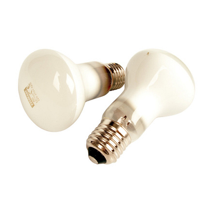 42w Halogen Reflect Bulb R63 ES Eveready - Image